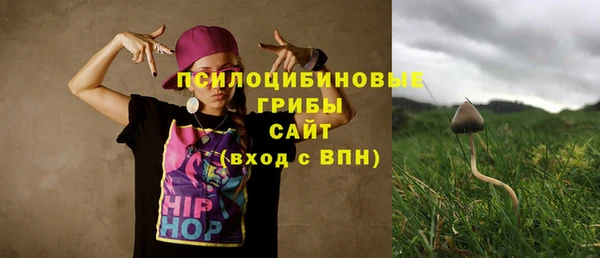 прущие грибы Верея